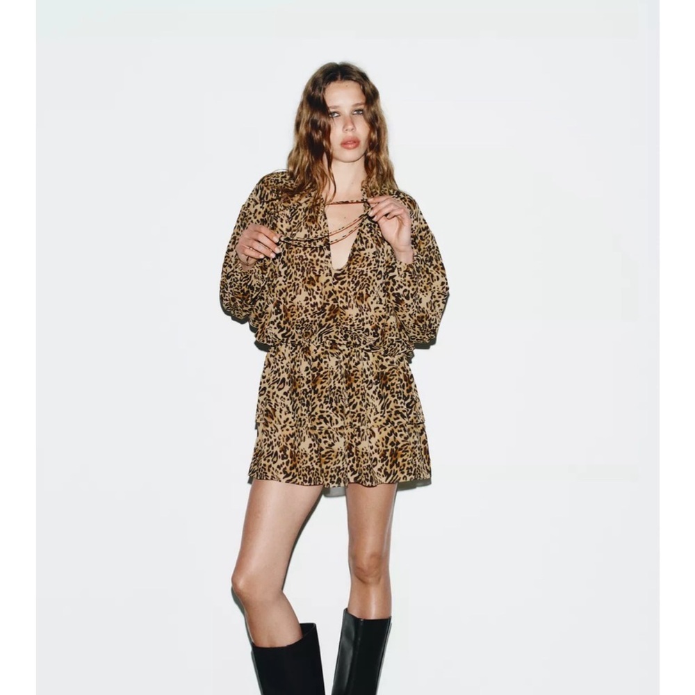 Zara Leopard Print Mini Dress